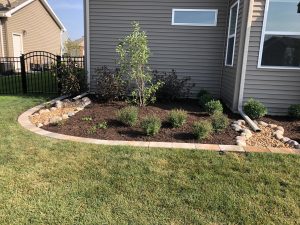 Landscaping - misc 2